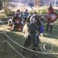 View the image: Melee5