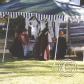 View the image: Tent1