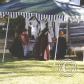 View the image: Tent2