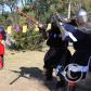 View the image: IMG_6665