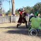 View the image: IMG_6683