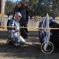 View the image: IMG_6835