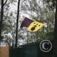 View the image: 737a