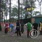 View the image: Archery8a