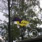 View the image: OLYMPUS DIGITAL CAMERA