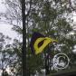 View the image: OLYMPUS DIGITAL CAMERA