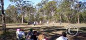 View the Album: BF_Burning Bull 2007
 1 image