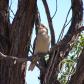 View the image: OLYMPUS DIGITAL CAMERA