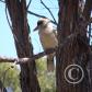 View the image: OLYMPUS DIGITAL CAMERA