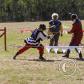 View the image: OLYMPUS DIGITAL CAMERA