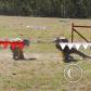 View the image: OLYMPUS DIGITAL CAMERA