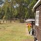 View the image: OLYMPUS DIGITAL CAMERA