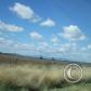 View the image: OLYMPUS DIGITAL CAMERA