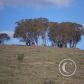 View the image: OLYMPUS DIGITAL CAMERA