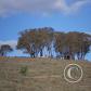 View the image: OLYMPUS DIGITAL CAMERA