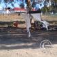 View the image: OLYMPUS DIGITAL CAMERA