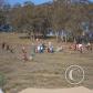 View the image: OLYMPUS DIGITAL CAMERA