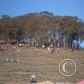 View the image: OLYMPUS DIGITAL CAMERA