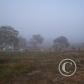 View the image: OLYMPUS DIGITAL CAMERA