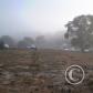 View the image: OLYMPUS DIGITAL CAMERA