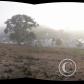 View the image: last morning