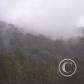 View the image: OLYMPUS DIGITAL CAMERA