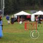 View the image: OLYMPUS DIGITAL CAMERA