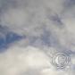 View the image: OLYMPUS DIGITAL CAMERA