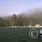 View the image: OLYMPUS DIGITAL CAMERA