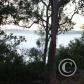 View the image: Img_0043