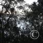 View the image: Img_0044