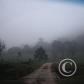 View the image: Img_0045