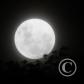 View the image: Img_0103