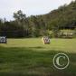 View the image: Img_0133