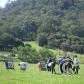 View the image: Img_0143ac