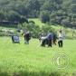 View the image: Img_0143ad