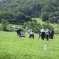 View the image: Img_0143ae