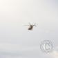 View the image: Img_0253