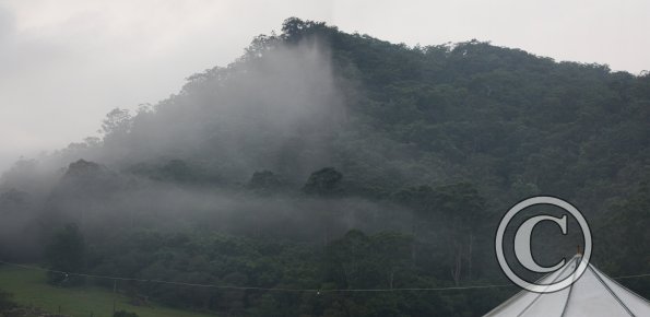 Img_0284c