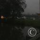 View the image: Img_0520b