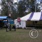 View the image: OLYMPUS DIGITAL CAMERA