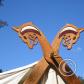 View the image: OLYMPUS DIGITAL CAMERA