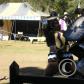 View the image: OLYMPUS DIGITAL CAMERA