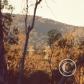 View the image: 83460009