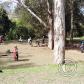 View the image: 99580021