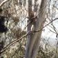 View the image: 99590002