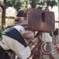 View the image: 99590022
