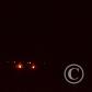 View the image: GNW33