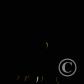 View the image: GNW37