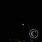 View the image: GNW39